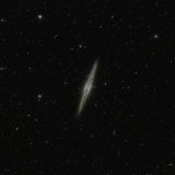 NGC891